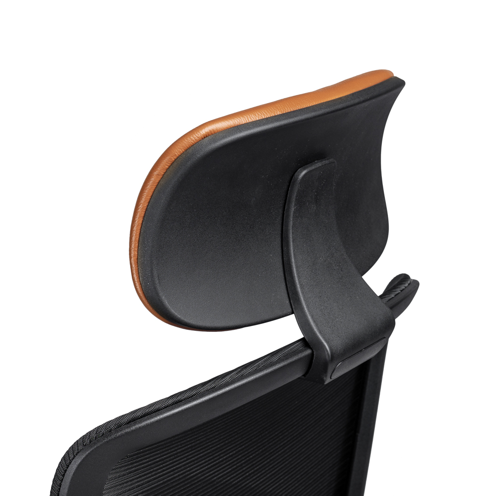 2557ABS209PPAL_4 jpg