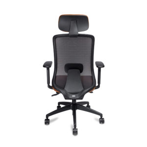 2557ABS209PPAL_4 jpg