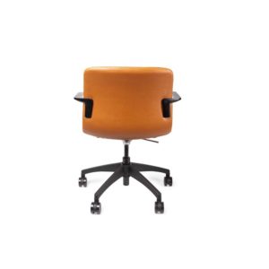 2_1_119917_x9mjgs5r9x jpg