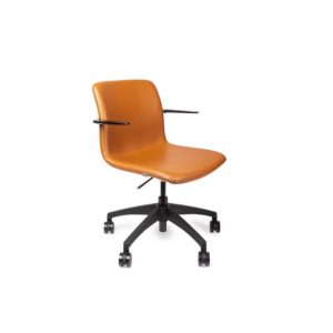 2_1_119917_x9mjgs5r9x jpg